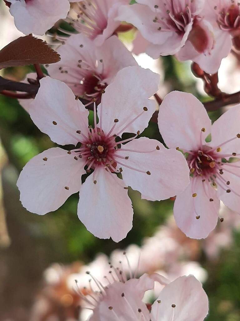 foto20