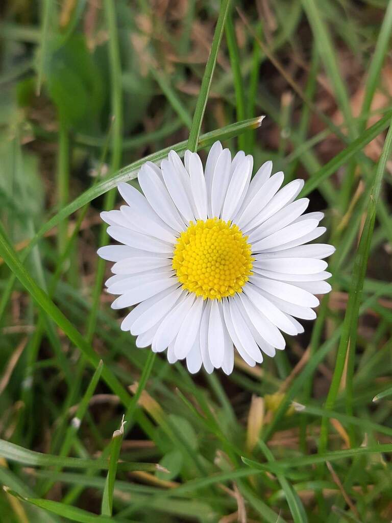 foto9